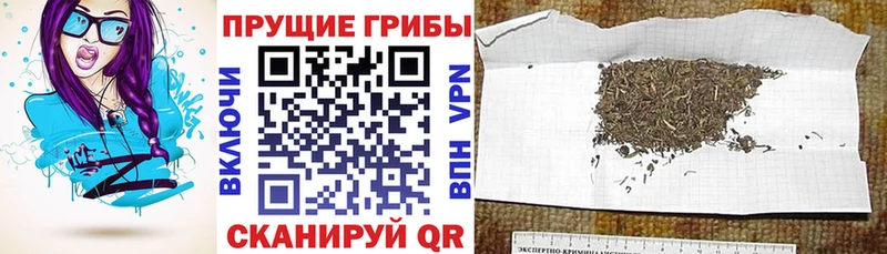 Галлюциногенные грибы Magic Shrooms  Купить где  Раменское 