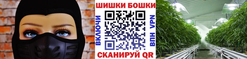 Марихуана ГИДРОПОН  Купить  Раменское 